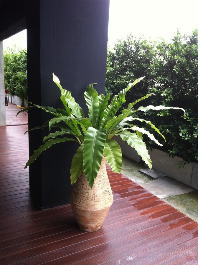 The Logbook Room And Cafe' Chonburi Extérieur photo